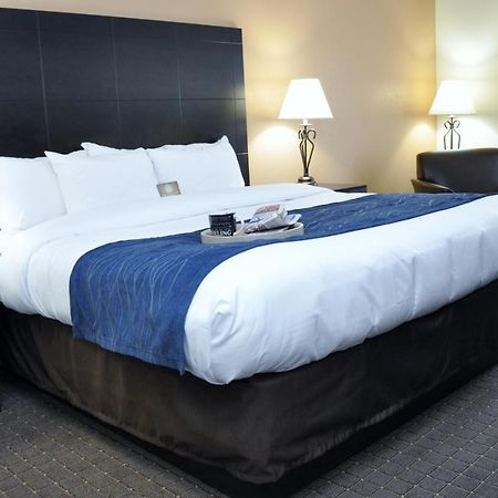 Comfort Inn Oak Ridge - Knoxville Номер фото